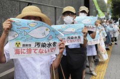  日本不成能因而完